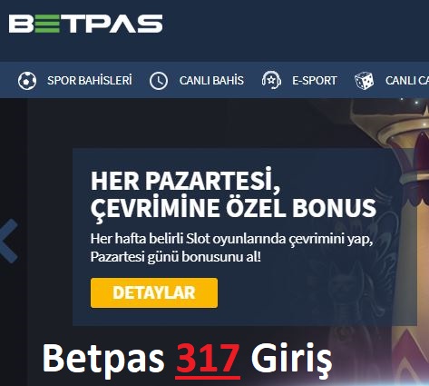 betpas 317